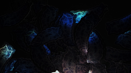 0205(1).gif