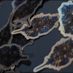 0205 (2)(1).gif