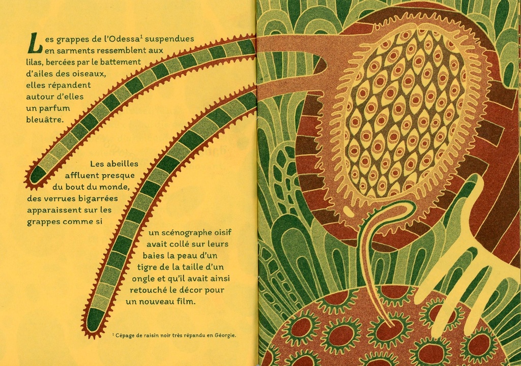 l'élégie du dimanche006.jpg