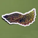 Chrysalide