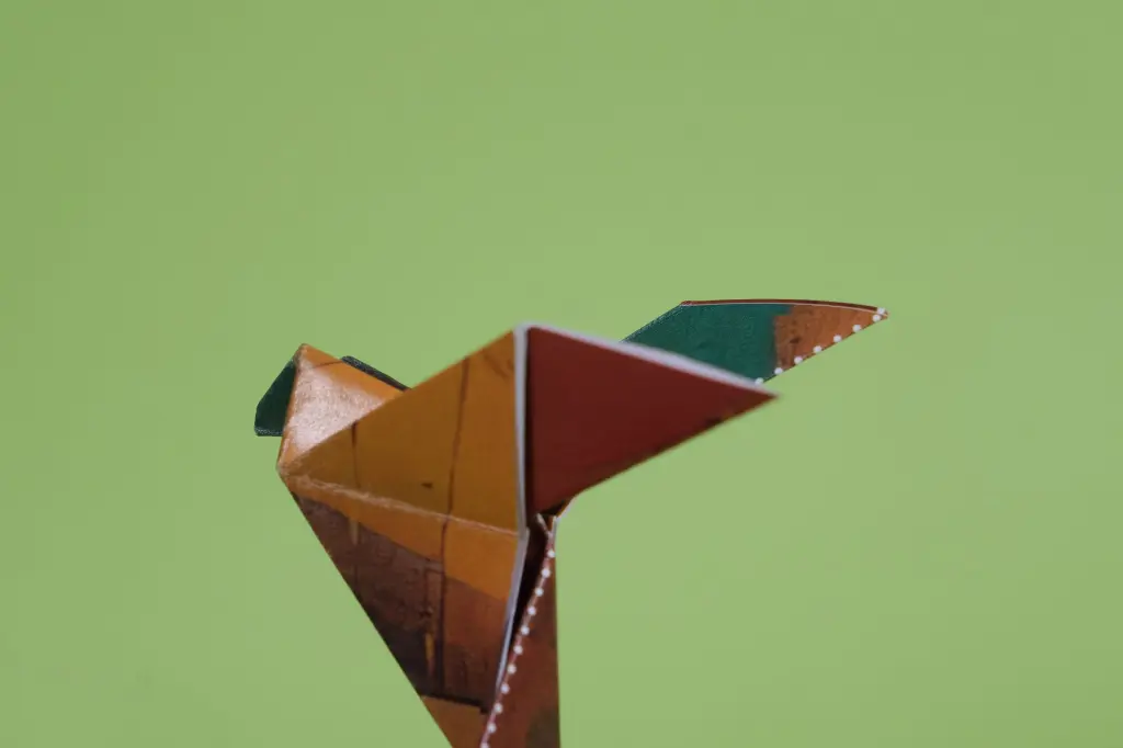 DSCF3693.webp