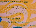 parmi les jardins-14.webp
