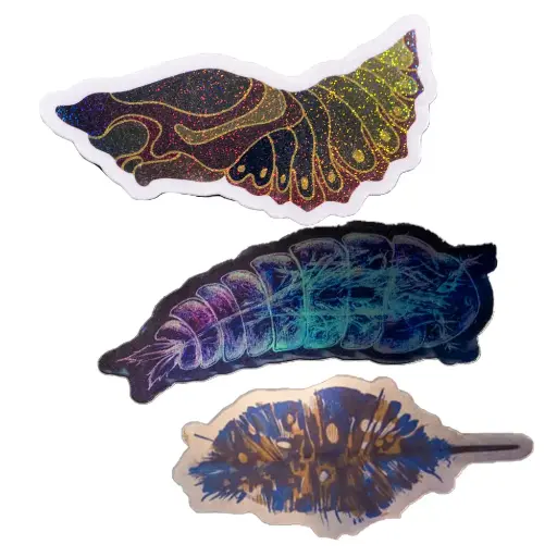 Pack de stickers